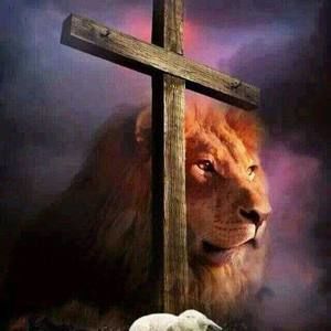 Meet your Posher, Edward